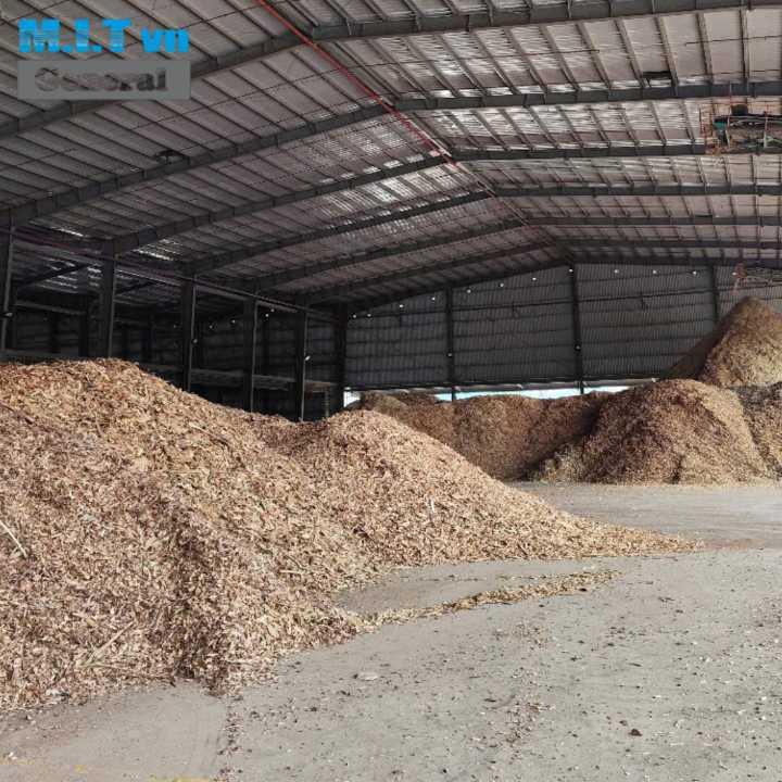Wood Chips (Acacia / Eucalyptus)