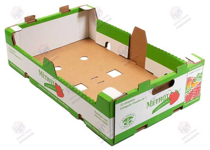 Paperboard Boxes for Fruits & Vegetables