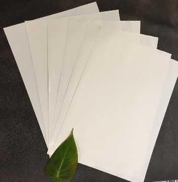 Silicone Coated Release Paper