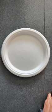 Disposable Tableware