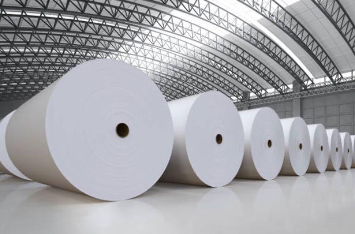 Poly Coated Paperboard