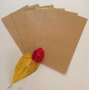 Silicone Coated Release Paper