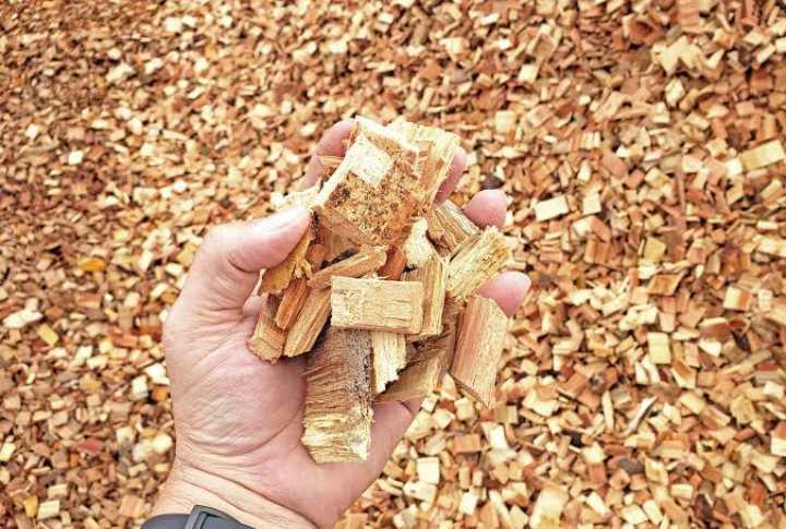 Wood Chips (Acacia / Eucalyptus)