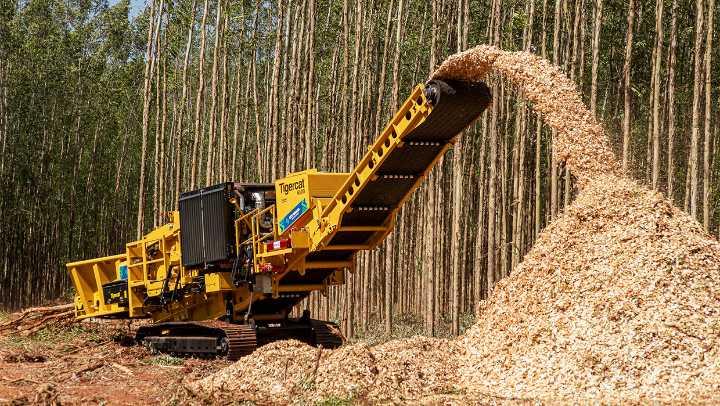 Wood Chips (Acacia / Eucalyptus)
