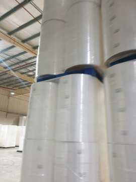 Paper Tissue Cover Sheet in Parent Reels / Jumbo Rolls