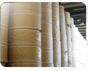 Food Grade Single-Side PE Coated Paper Rolls